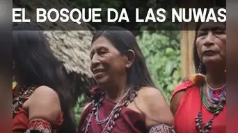 Domingo Semanal: El bosque de las Nuwas Domingo Semanal: El bosque de las Nuwas