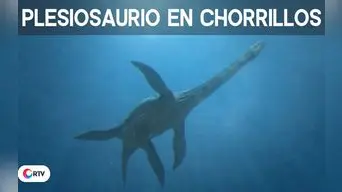 Plesiosaurio en Chorrillos