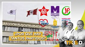 Tres D: ¿Por qué hay tantos partidos? Tres D: ¿Por qué hay tantos partidos?