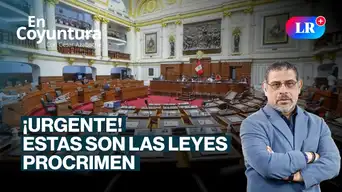 ¿Existen las leyes procrimen? César Azabache lo explica | En Coyuntura